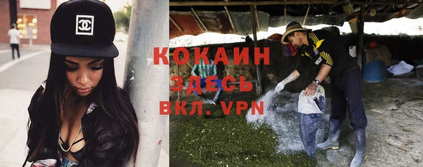 дживик Баксан